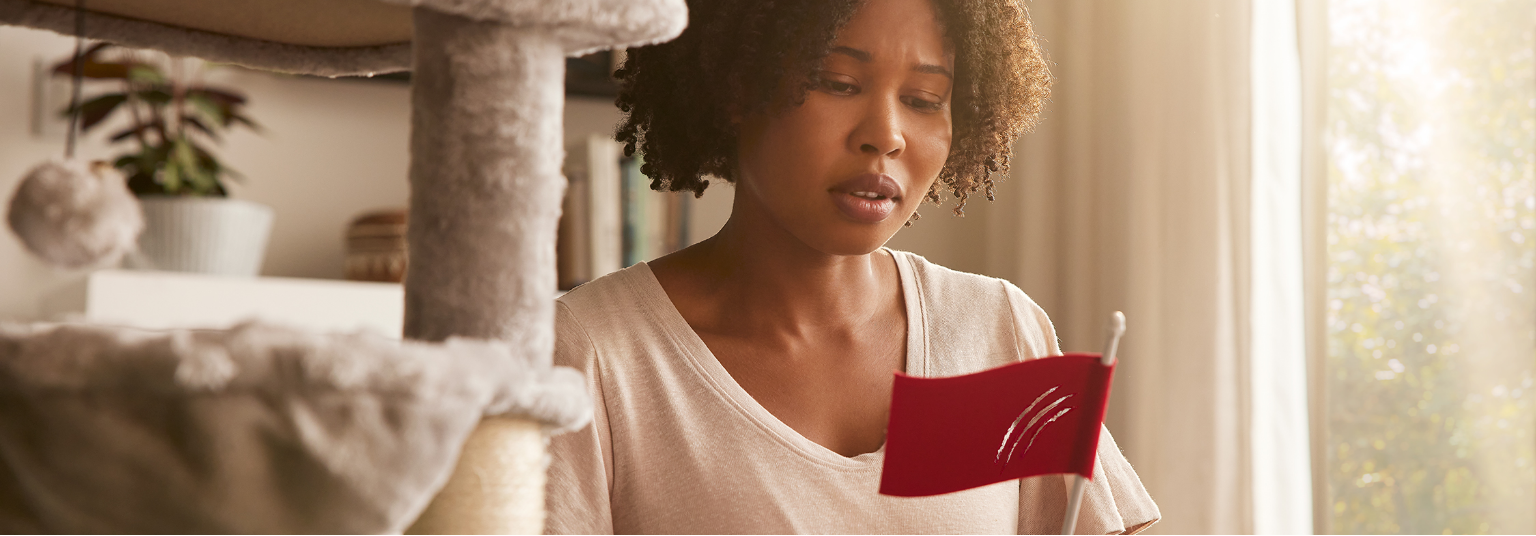 Red Flag that says meow with cat scratches on it